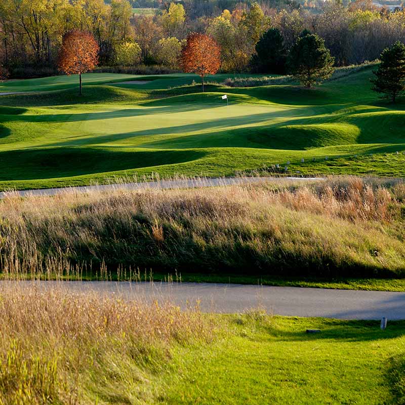 5 Lessons Package with Craig Czerniejewski PGA Adult 30 min